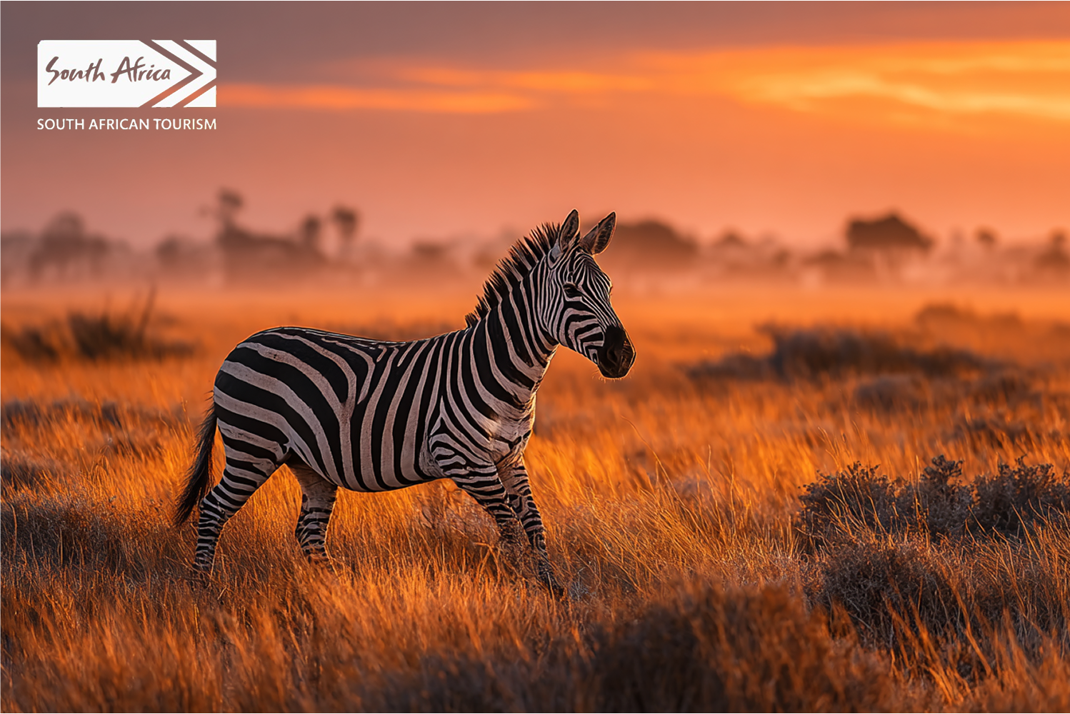 south africa